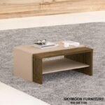 Melanine Center Table with Durable EGGER® Germany Boards - Image 3