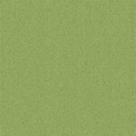 Boston Series Solution Dyed Nylon Carpet - Image 13