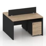 Camer Series Cluster of 2x Face to Face Workstation