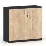 Camer Series Low Height 2 Door Cabinet