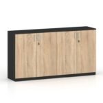 Camer Series Low Height 4 Door Cabinet
