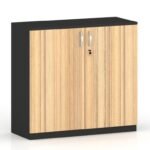 Man Series Low Height 2 Door Cabinet