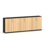 Man Series Low Height 6 Door Cabinet