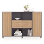 Mid Height Open Shelf With Wooden Door Cabinet