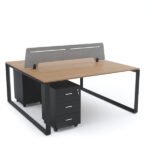 SCHON : Workstation Cluster of 2 Face-to-Face