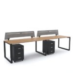 SCHON : Workstation Cluster of 2 In-Line