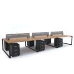 SCHON : Workstation Cluster of 6 Face-to-Face